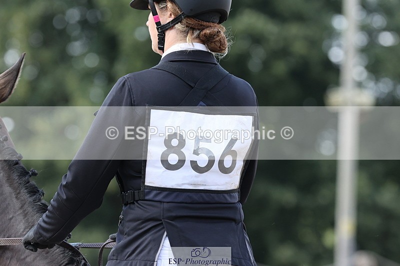 250803A-162629-17465 - S-856-Helena.Stock-ROYAL.UPDATE