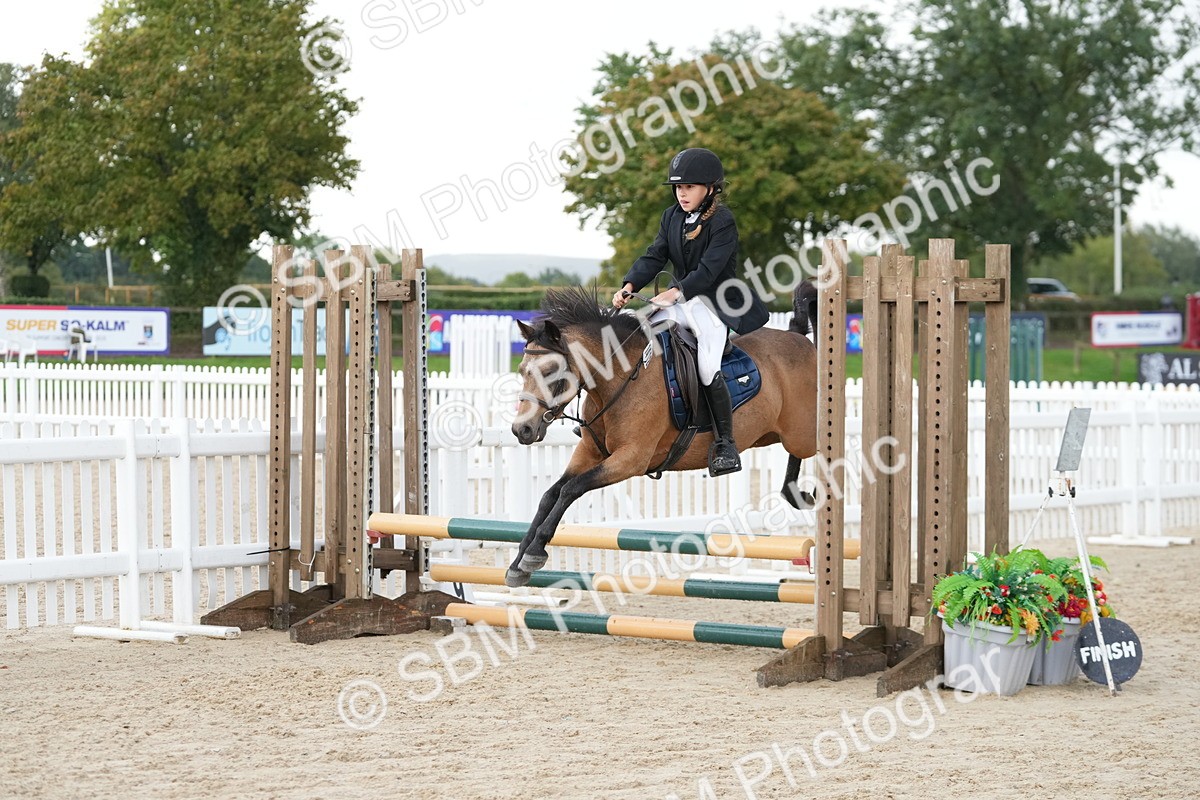 SBM_39902 - J6 - Junior Pony 55cm Championship
