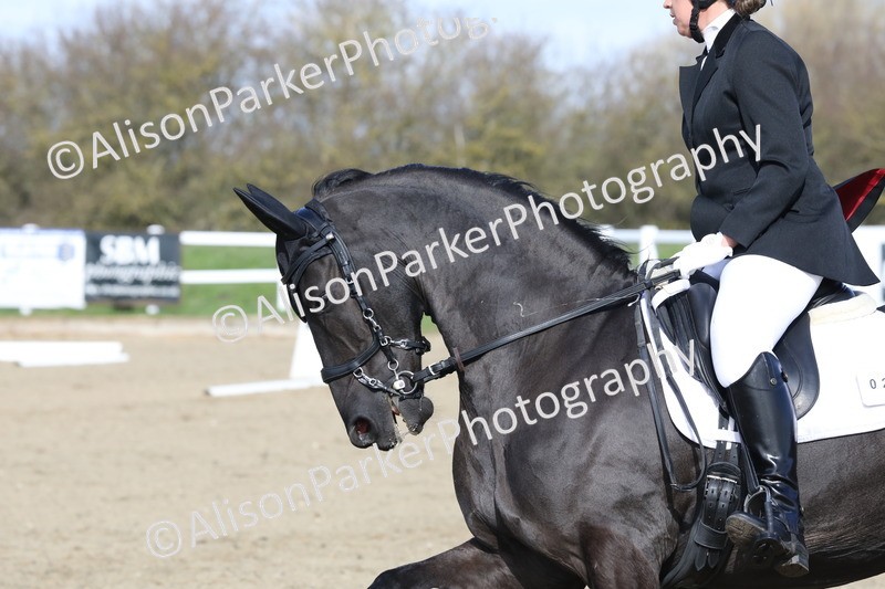 20260314-2185 - CT2 - Prelim 1