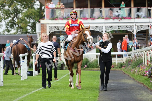 yr04092022r3-40 - Race 3 2.55pm The Elevator Company Garrowby Stakes