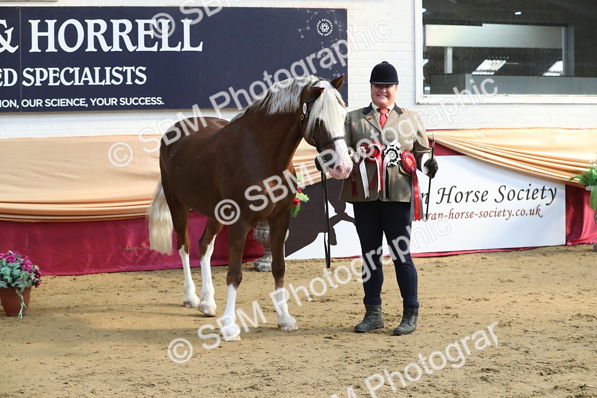 SBM_01372 - Class 3a Area IH Pre Vet