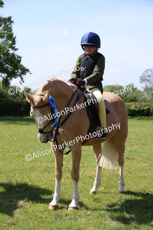 20250427-2514 - Class 19 - Mini Working Hunter