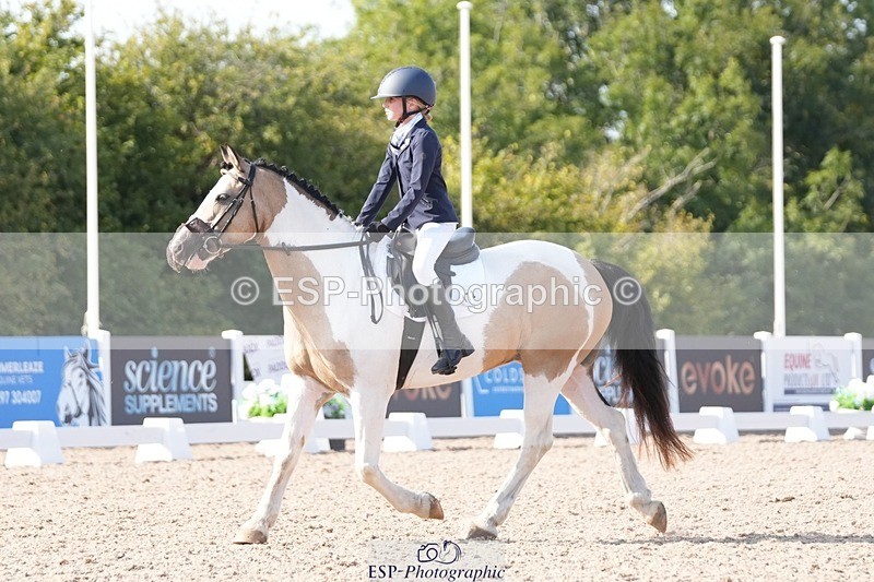 250817-165033-11777 - 172-Lilly.PapworthCammach.Wheres.Whally