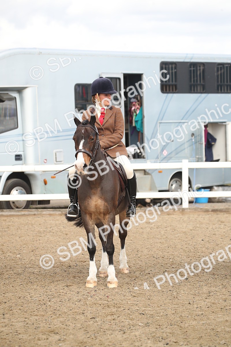 SBM_16549 - Class 506b - Working Veteran - 50cm (20+)