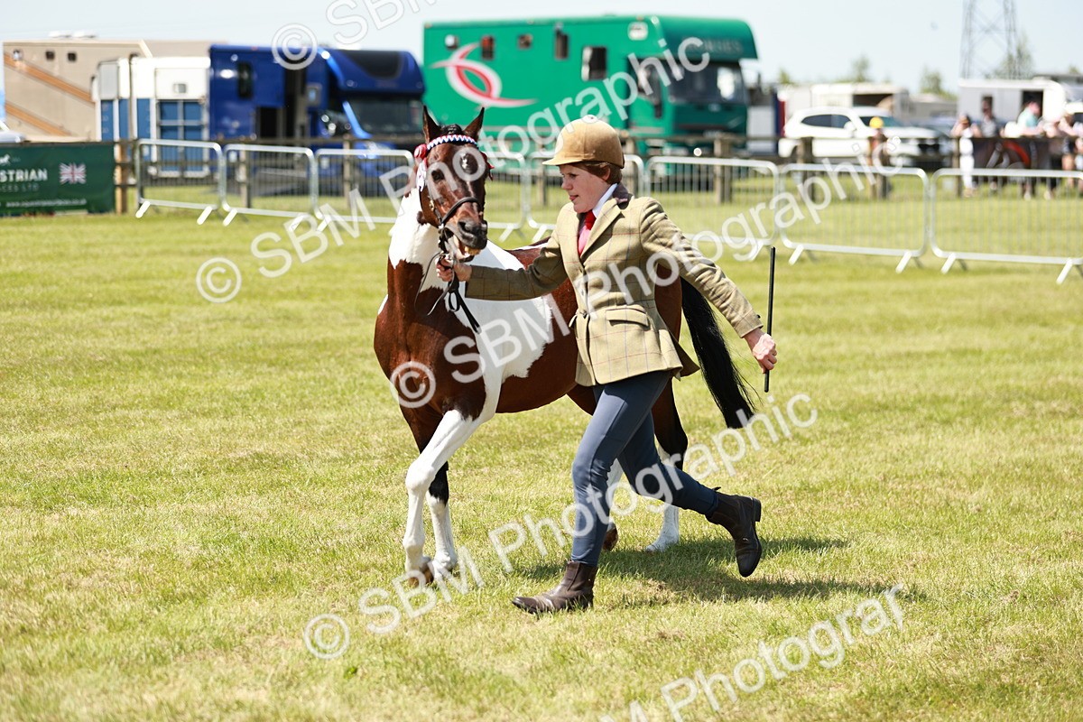 SBM_05462 - Class 39-40 - BSPA Coloured In Hand