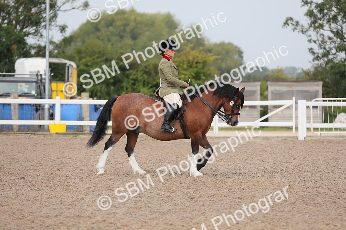 SBM_09965 - Class 302 Ridden M&M -Large Breeds