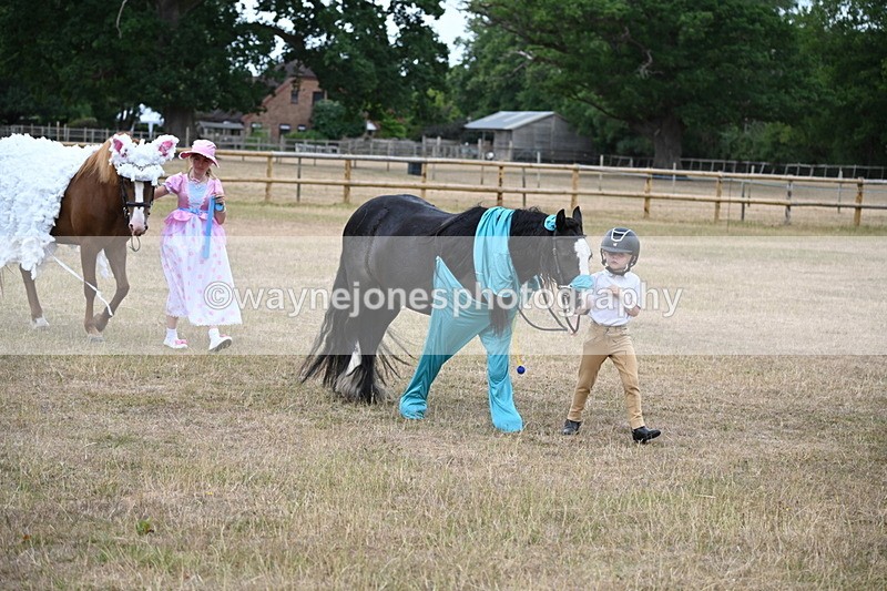 WJ6_8683 - Class 11 Fancy Dress