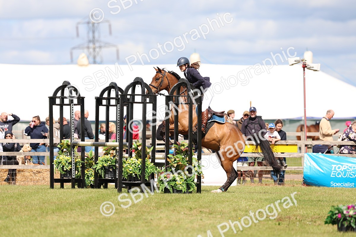 SBM_13671 - Class 206 - Senior Newcomers - 1.10m Open