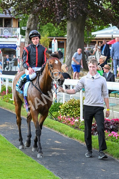 140625-Race 6-Classic Encounter-3445 - Race 6 4.45pm Ice Co Supporting Macmillan Handicap