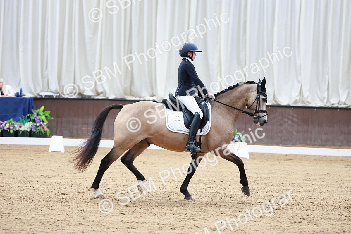 SBM_017211 - Class15 - FEI Pony
