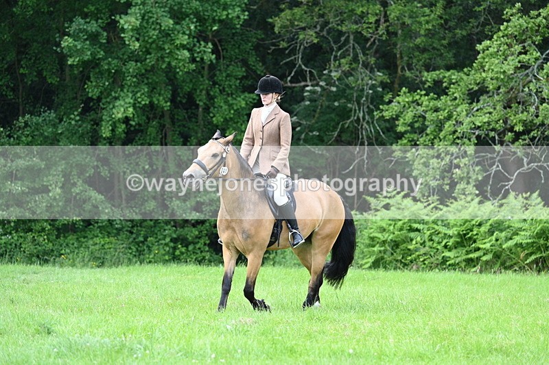 WJ7_2524 - Class 12A Coloured Class
