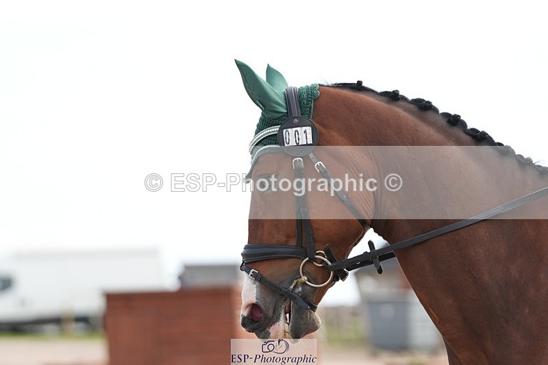 250906-095928-01400 - 001-Tracy.OKennedyWylye.Harlequin