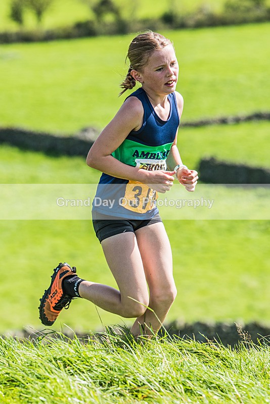 Loweswater Show-179 - Loweswater Show Junior & Senior Fell Races Sunday 3rd September 2023