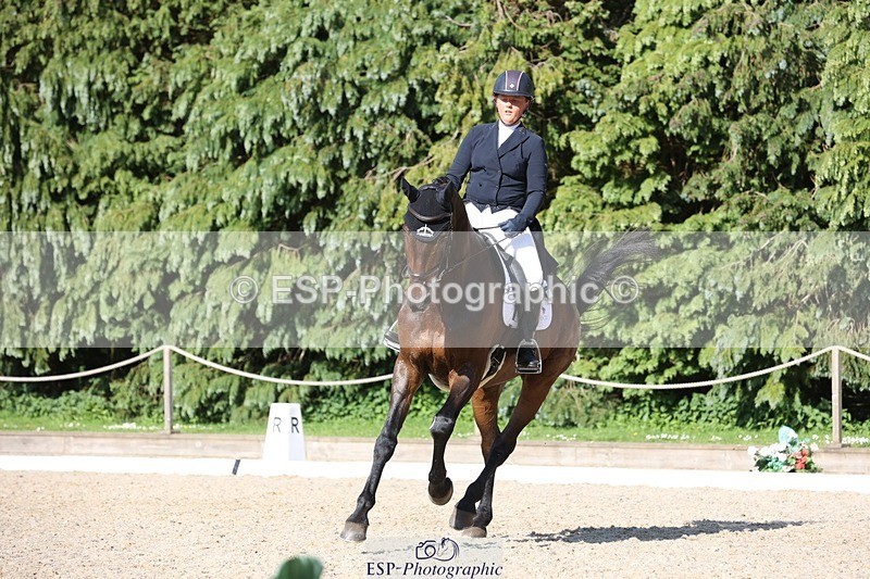 230526-172602-07976 - 178-RIDIRE_DORCHA-Lucy_Stimson-WEDTrotUp+DR