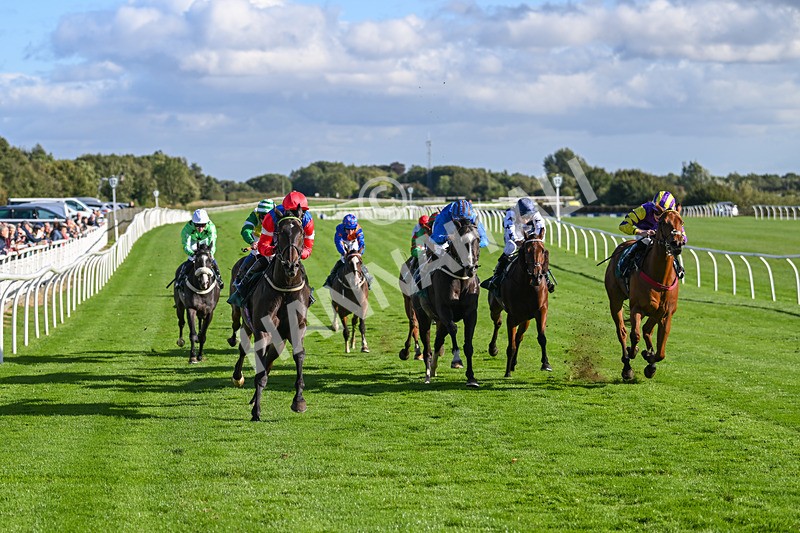 100924-Race 5-Crocodile Power-0438 - Race 5