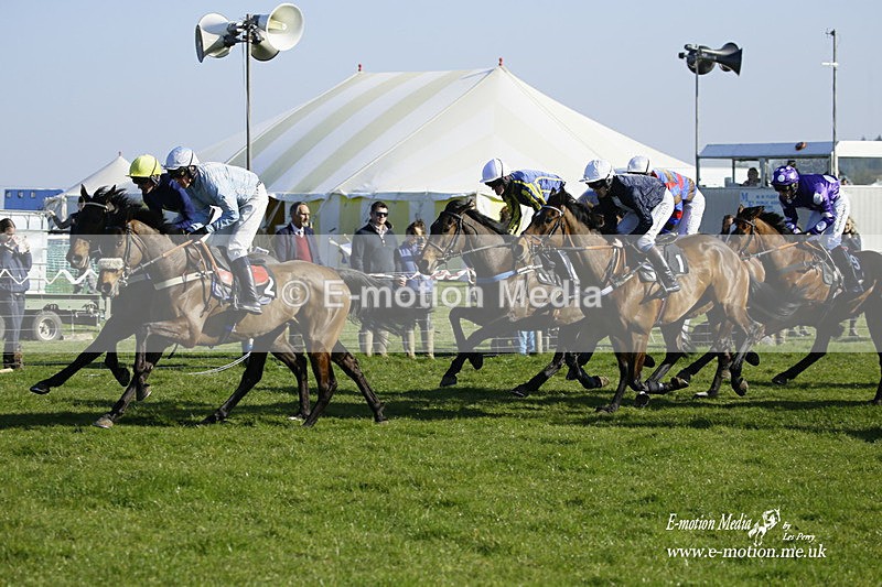 PtP 190322 683 - Wilton Hunt PtP Milborne St Andrew 19/03/22
