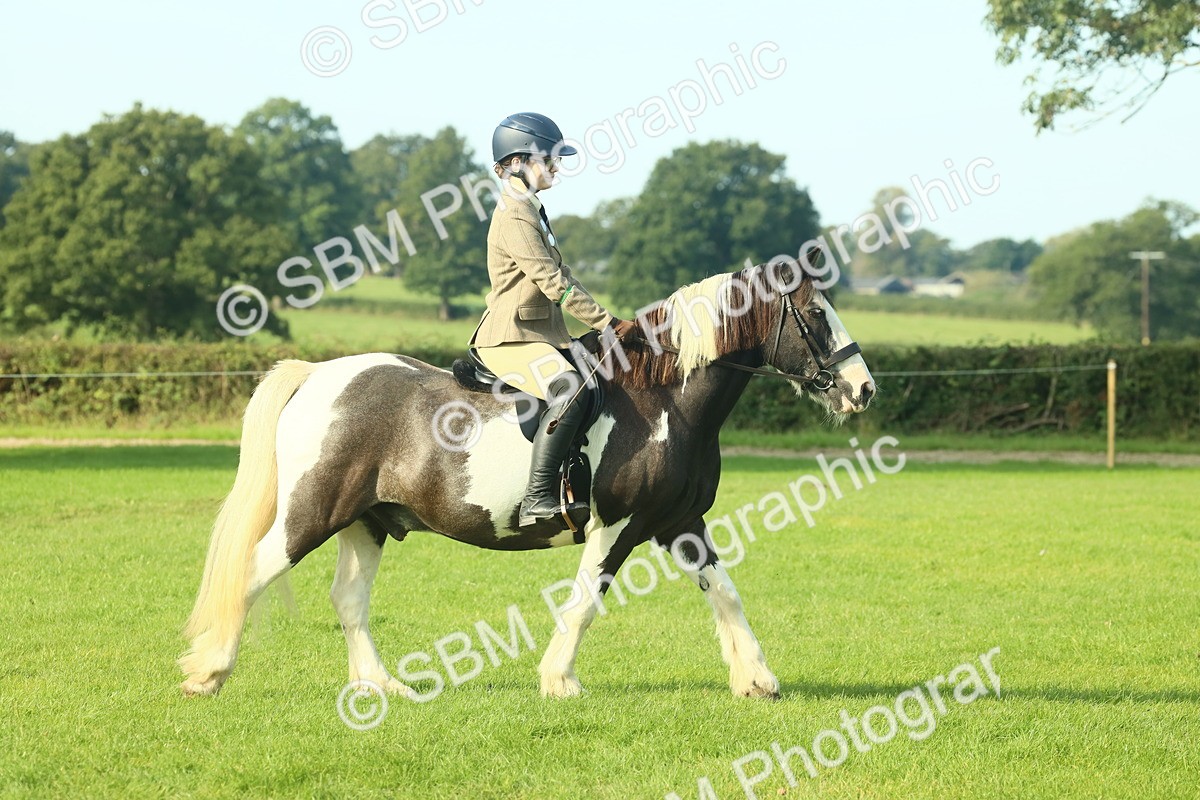 SBM_59317 - S38 - Starters Ridden Showing