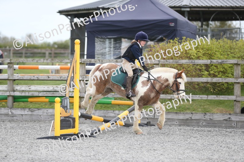 20260412-0162 - Show Jumping