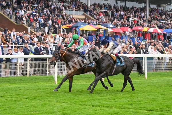 080924-Race 5-Quinault-9328 - Race 5 4.00pm Starman At Tally Ho Stud Garrowby Stakes