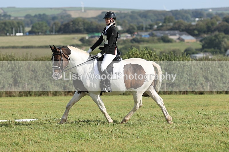 JPP_8114 - Class 2A: Trekenning Open: Dressage