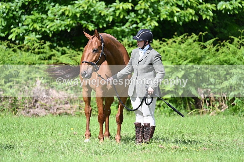 WJ7_1063 - Class 11 Condition & Turnout