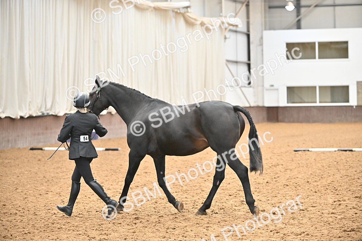 SBM_000094 - Class 4 - BSHA In Hand Show Cob