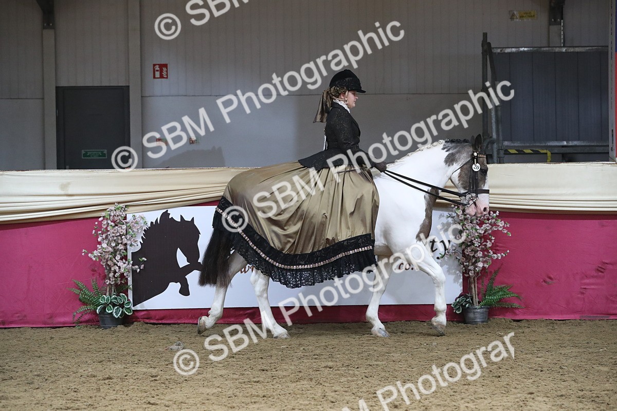 SBM_11203 - Class 104 Ridden Costume - Astride Junior