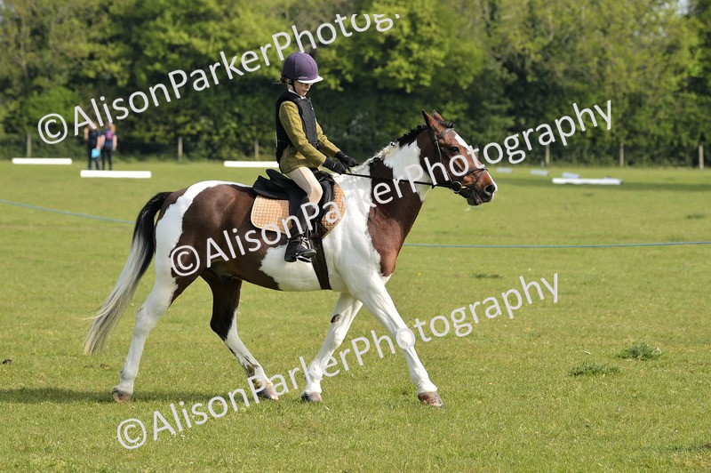 20260426-0904 - Class 18 - Novice Showing