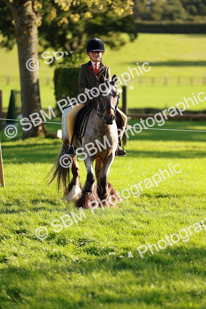 SBM_28724 - S7 - Novice & Newcomer Ridden Pony