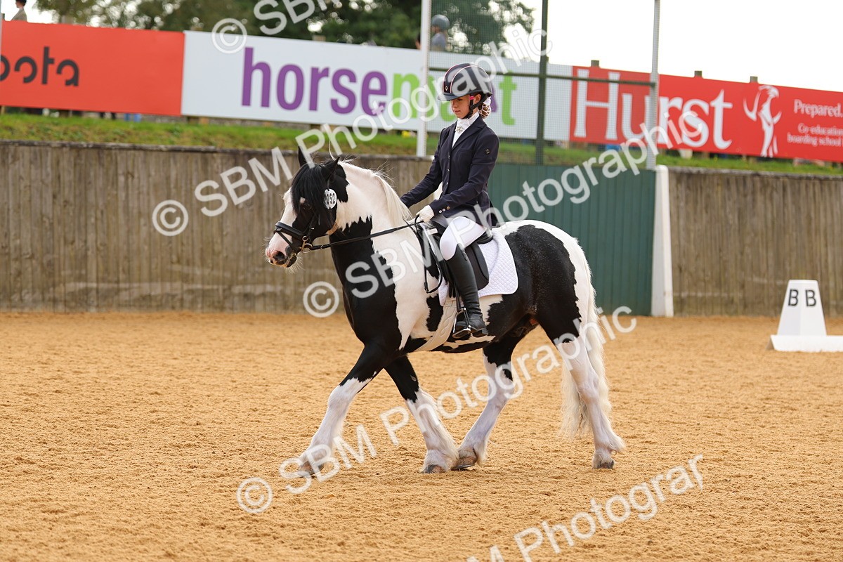 SBM_47504 - D6 - Small Tour Championship - Intro C