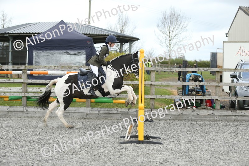 20260412-0626 - Show Jumping