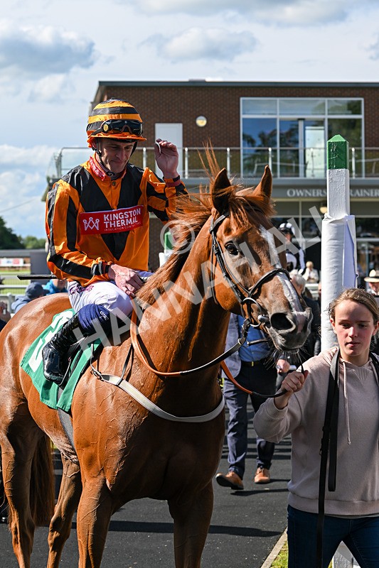 160624-Race 3-Mereside Diva-8568 - Race 3