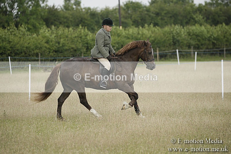 B230619-0188 - Bourne Valley Riding Club Summer Show 23/06/19