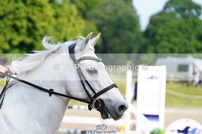 250615A-080438-09538 - Class 42 85cm Amateur Qualifer