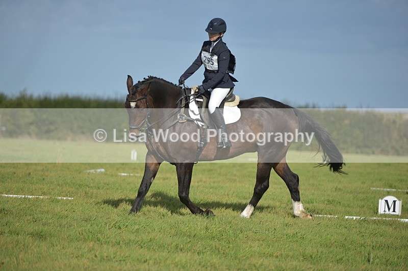 RAY_7484 - Class 2B: Trekenning Open: Dressage