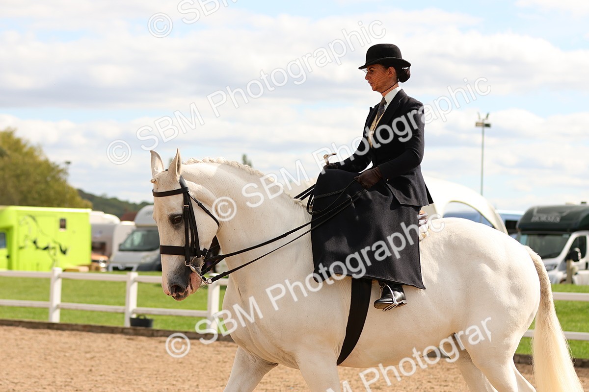 SBM_15901 - Class 216 - Best Side Saddle Horse-Pony