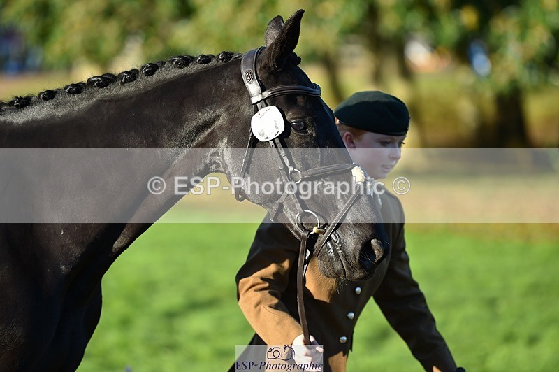 231022-091600-21656 - 647-HAPPY.BIATS-Lucy.Wisher-TrotUp+SJ