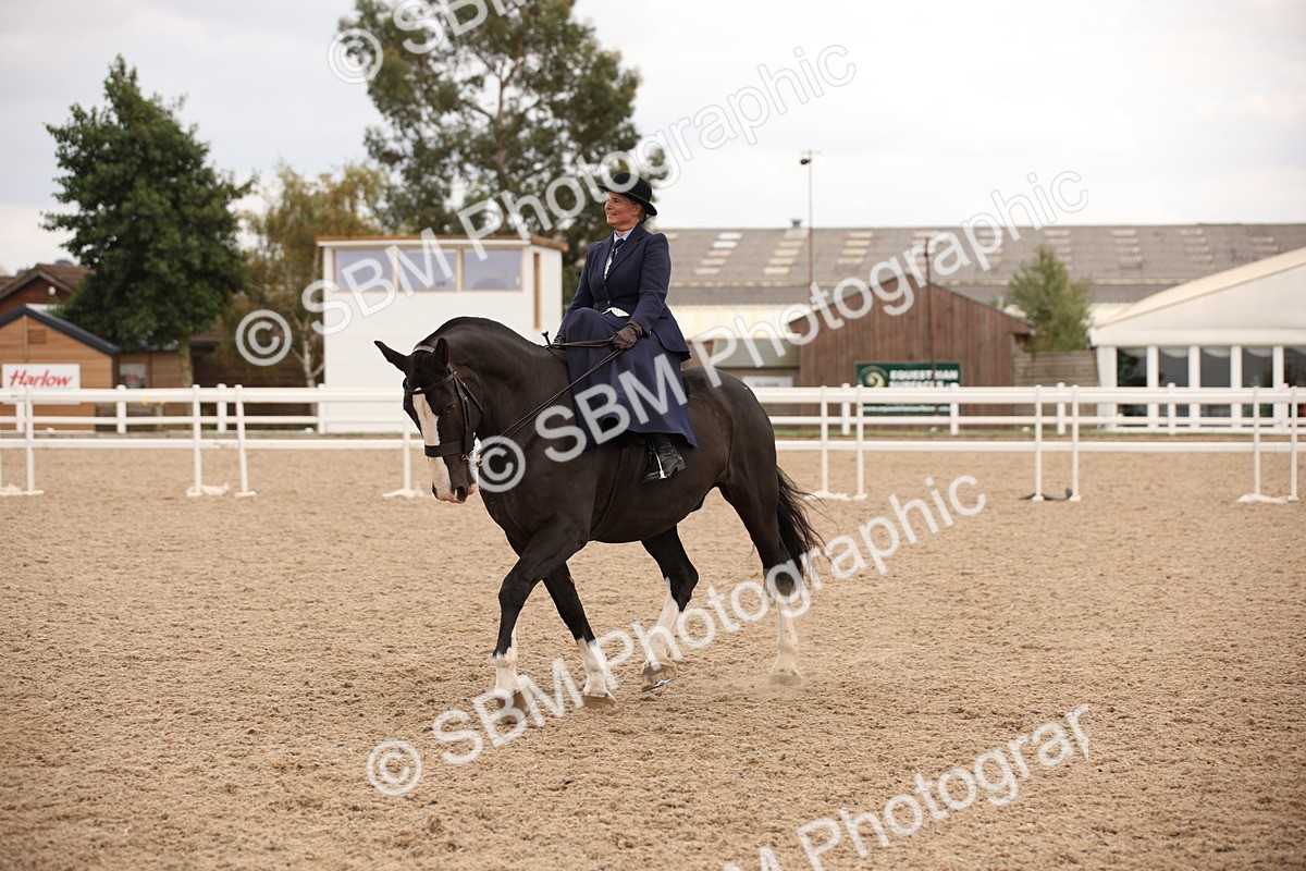 SBM_05459 - Class 22 SSA Equitation