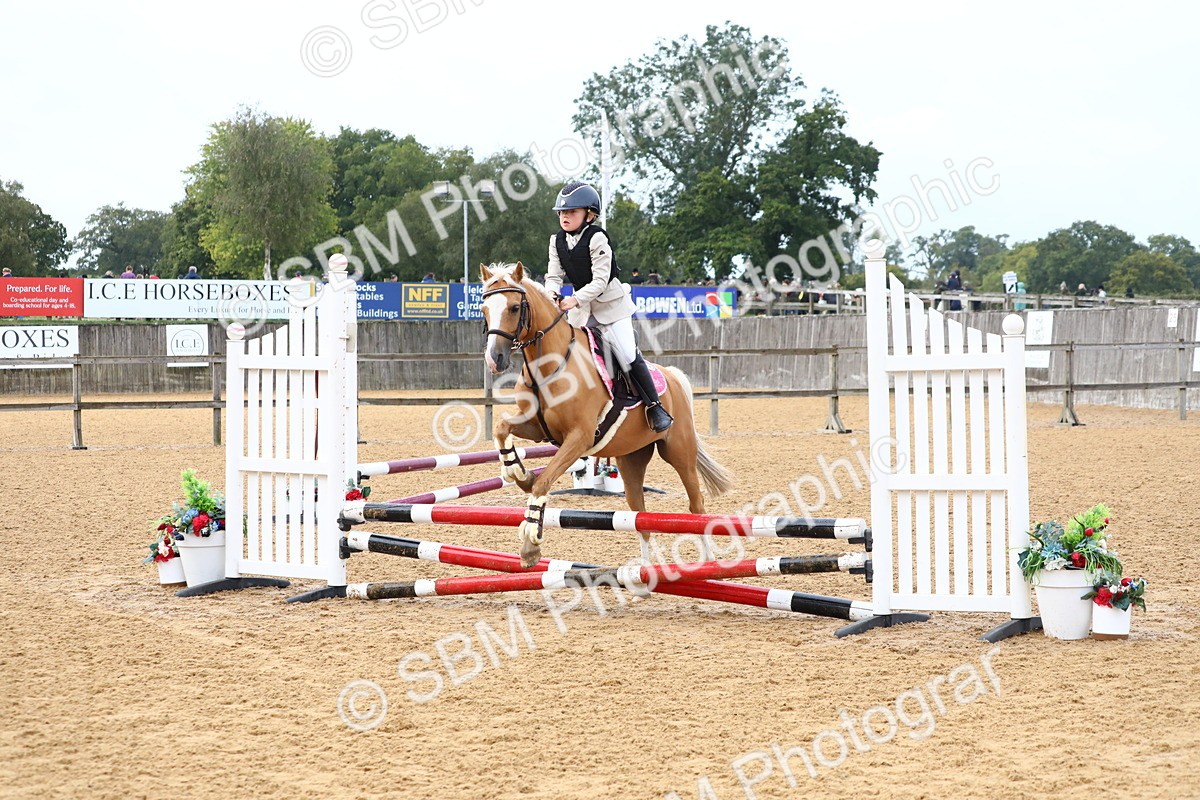 SBM_60016 - J63 - Junior Pony 50cm Championship