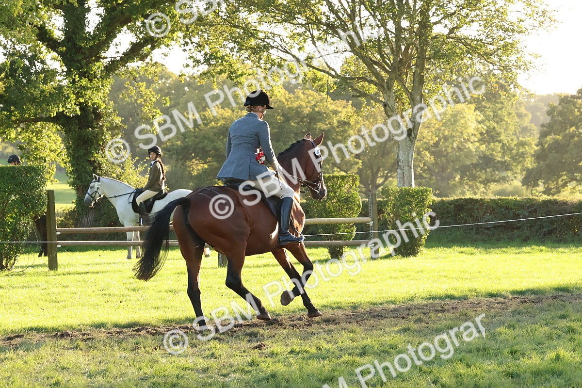 SBM_53199 - Veteran Supreme Championship