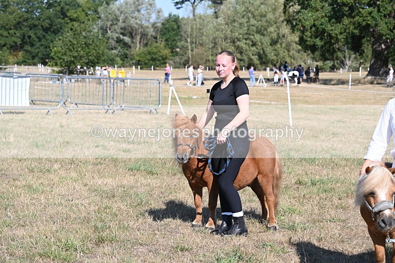 WJ6_7325 - Class 33 Rescue Pony
