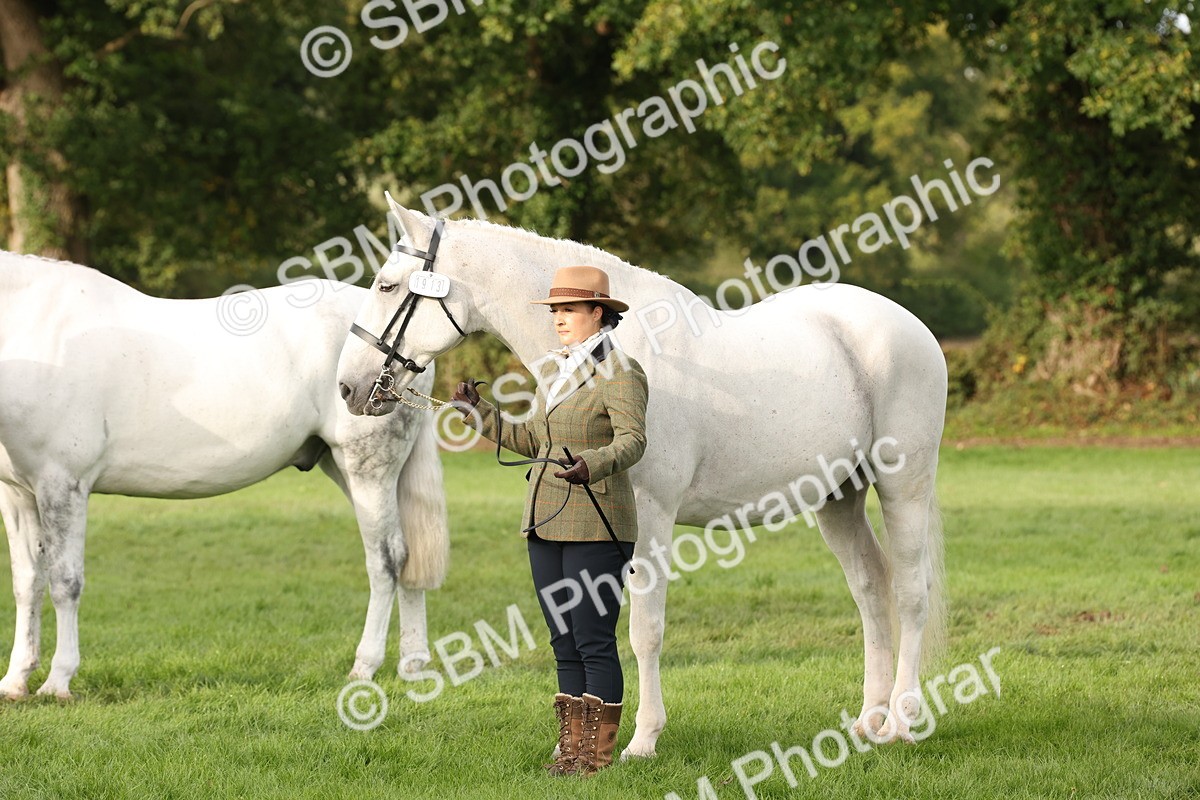 SBM_54708 - S53 - Hunter In Hand
