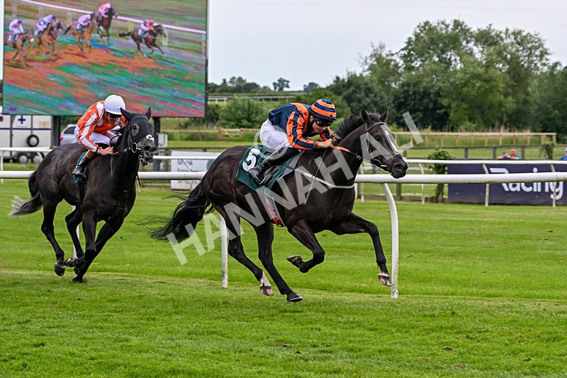 220626-Race 6-War Memorial-9568 - Race 6 17.10pm Racing Again 8th July Handicap