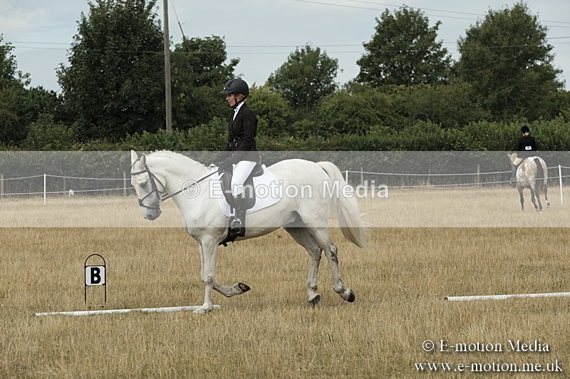 _PJP5775 - Dressage Classes BVRC Show 2018