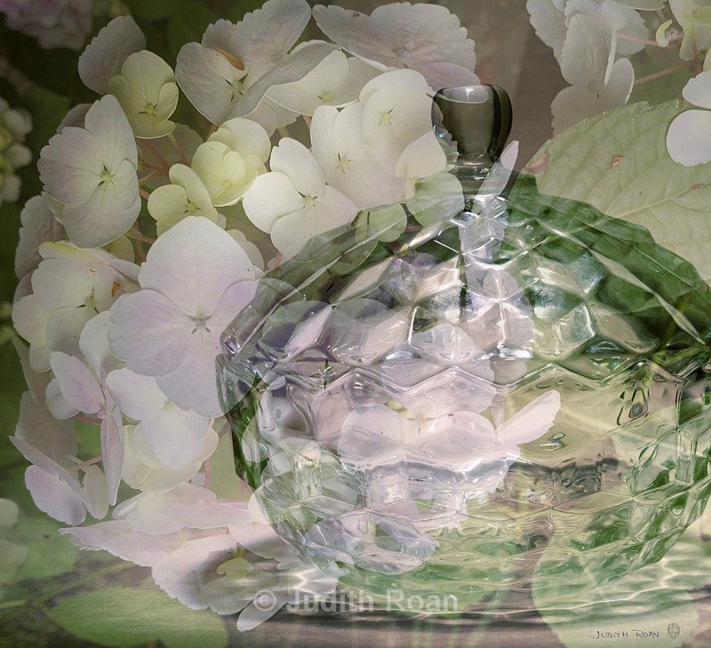 Hydrangea with Glass Dish - Photo Montages
