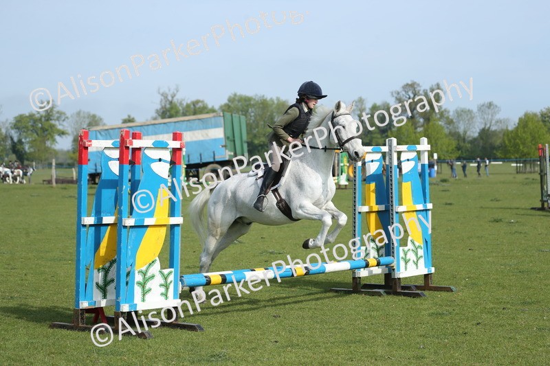 20260426-0169 - Class 13 - Rookie Jumping 50cm