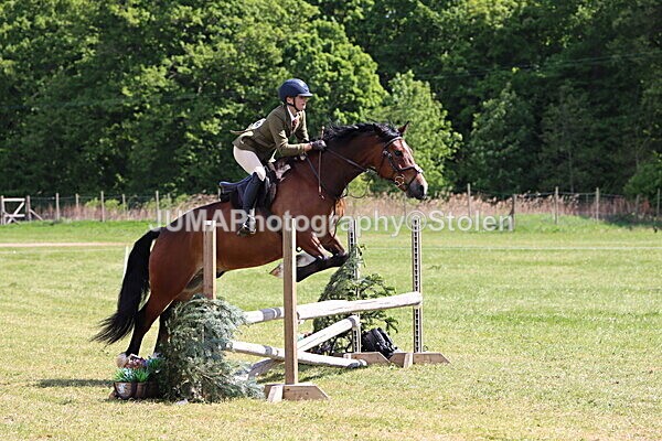 IMG_4202 - Working Hunter