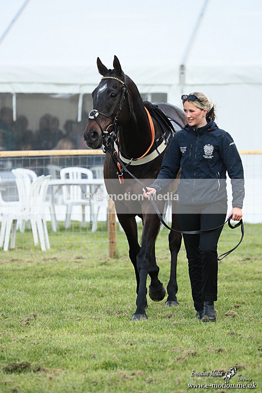 PtP 180426 673 - Worcestershire Hunt PtP Chaddesley Corbett 18/04/26