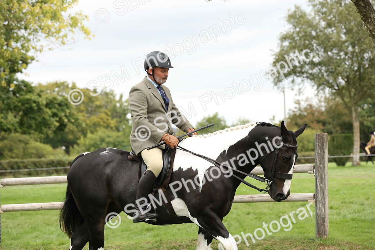 SBM_67308 - S67 - Piebald & Skewbald Horse Ridden