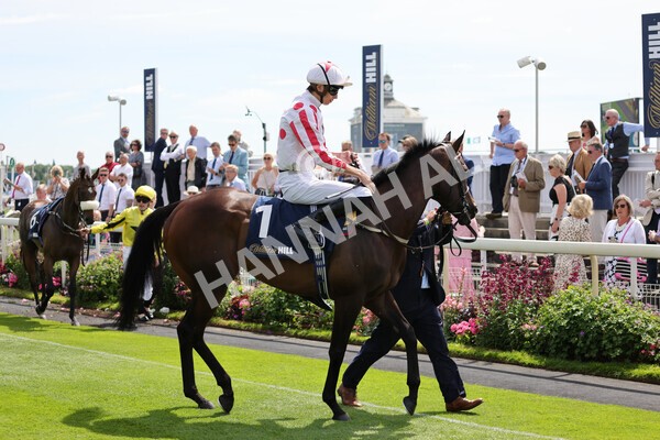 yr08072022r2-5 - Race 2 2.40pm William Hill Summer Stakes